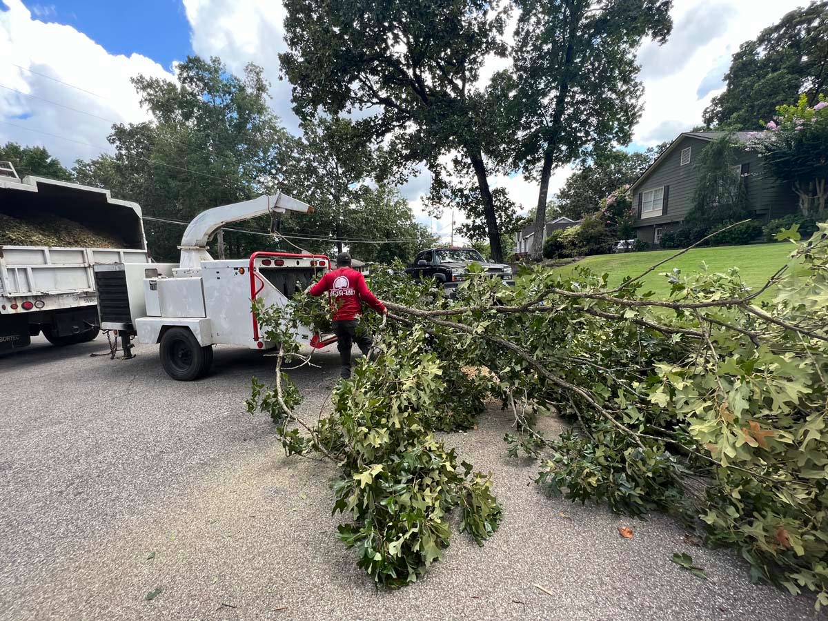 Topnotch Tree Trimming Service in Pelham, AL, 35124