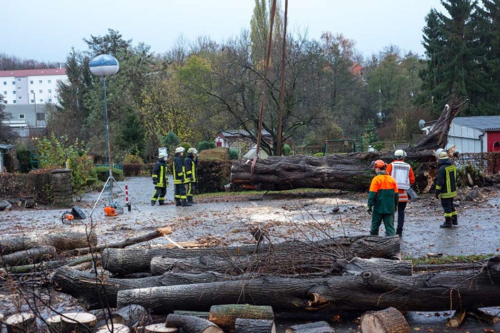Tree Service in Pelham, AL Tree Service in Pelham, AL