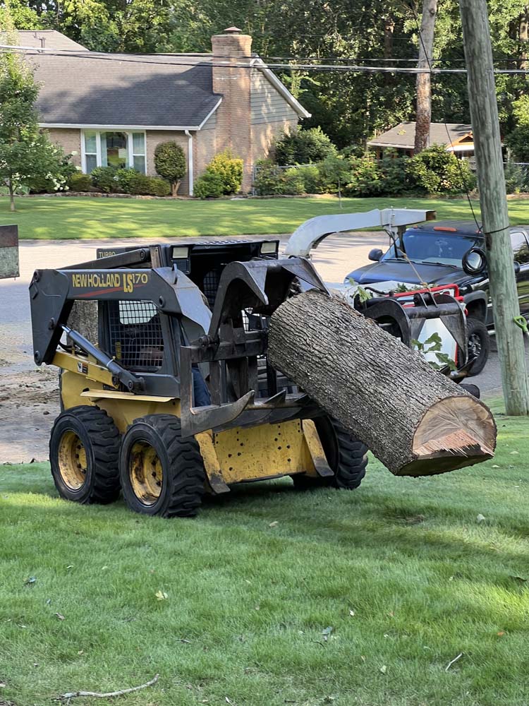Topnotch Tree Trimming Service in Pelham, AL, 35124